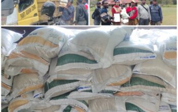Penyaluran Bantuan Sosial Sembako Beras di Distrik Wadangku, Kabupaten Jayawijaya